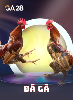 Trò Chơi Bingo